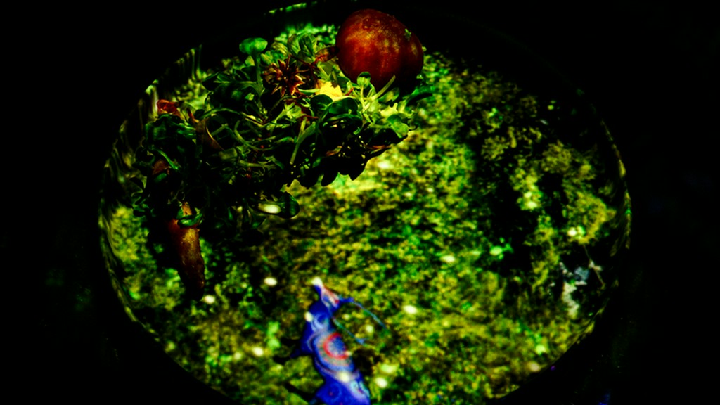 幕開け　Earth／土『毛蟹コンソメのトマトファルス　バーニャカウダソースとミックスハーブサラダ』