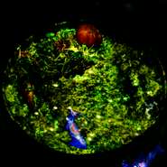 土が盛られたお皿が登場。VRゴーグルを装着すると映像でストーリーが続きます。トマトの中に詰められた毛蟹のコンソメが贅沢な味わい。自家製バーニャカウダソースを忍ばせたミックスハーブで彩られています。