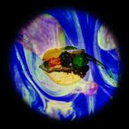 プロジェクションマッピングで描かれる海の世界。金目鯛に添えられているのは、筋子を使ったブールブランソースと大葉のピューレ。贅沢なマリアージュを堪能できます。
