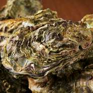 その日仕入れたばかりの新鮮な魚介を活かした、イチオシメニューも多数用意。地元で獲れた魚の刺身や、「能登かき」など、当日のオススメは要チェック。旬のおいしさを存分に堪能あれ。