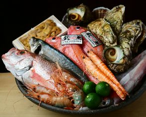 HARU 히사야