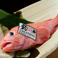 一番の売りは鮮度抜群の海鮮。北は北海道、南は長崎五島から買い付けており、その日いちばんのお魚を提供していきます。魚の魅力は旬があり、時期に合わせていろいろ楽しめることです。金額はご確認ください。