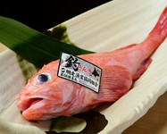 全国各地から仕入れた日替わりのお魚