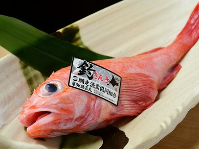 全国各地から仕入れた日替わりのお魚