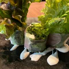 見た目の美しさにもこだわり盛付ける『生ハムとチーズの生春巻き』