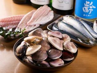 豊洲から仕入れる蛤や鯛といった新鮮な魚介