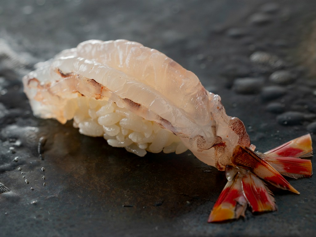 至福の寿司×温泉の「記念日ステイ」を箱根湯本で満喫できる