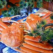 料理に使用するのは、オホーツク海で捕れる生の本ずわいがににこだわります。【かに満】では、その中でも大ずわいがに（バルダイ種）を仕入れることに成功。希少なかにのおいしさを堪能できます。