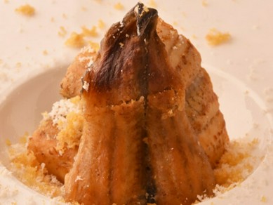 ＜夜の席＞おまかせコース