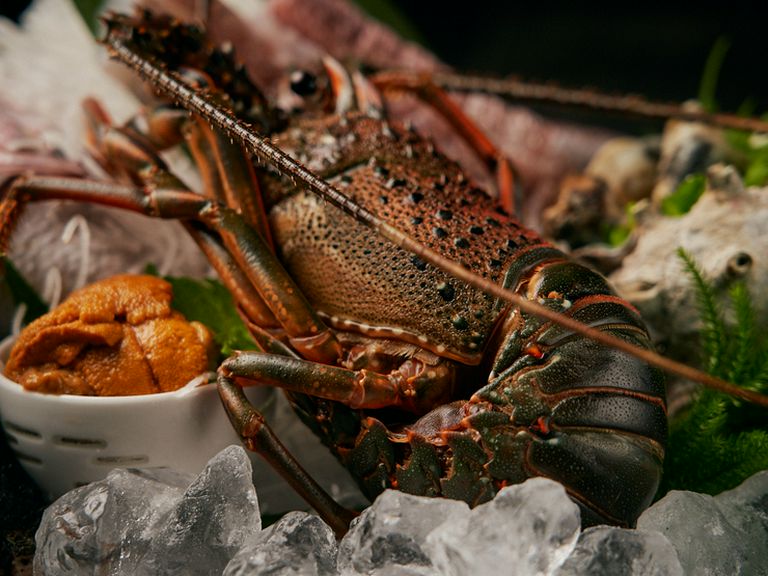 新鮮且つ上質な魚介を選択。鮮魚の味わいを堪能『お造り盛り合わせ』