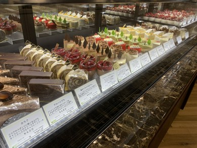 ショーケース