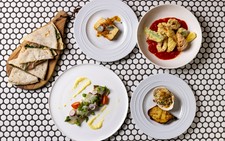 前菜、温前菜、選べるパスタとメイン、デザートが付いた全5皿