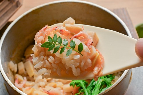 山城産筍と桜エビの釜めし