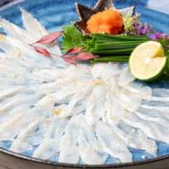 県内でも希少な『穴子の刺身』を味わえることも【鉄板料理　かえる】の魅力。店内水槽から引き揚げた活穴子を、新鮮なまま薄造りにして提供しています。