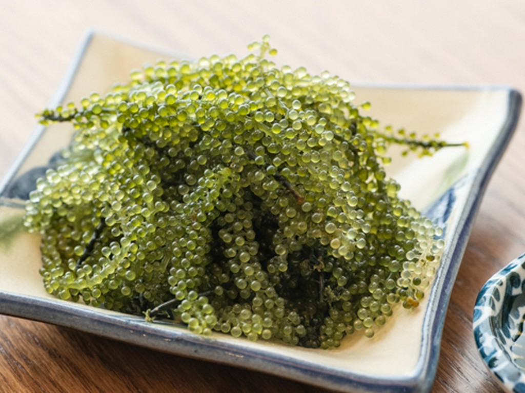 海ぶどう