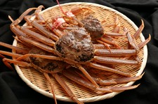 鳥取県境港直送の活松葉ガニのフルコースになります。
冬の味覚の王様、松葉ガニを是非ご賞味ください。
