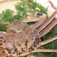 ※仕入れが困難なため1週間前までの予約制となっております。

※五輝星が入荷できない場合は、五輝星と同じサイズの松葉蟹で対応させていただきます。

※仕入れ値により提供価格が変更になる場合がございます。1万５千円以上高くなる場合はご連絡いたします。

※別途サービス料１０％頂戴いたします。