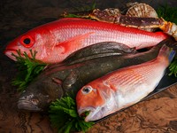 市場直送。鉄板焼を彩る『海鮮』