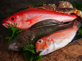 市場直送。鉄板焼を彩る『海鮮』