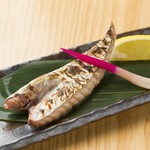 鰹の腹身。最も脂ののった部分で1匹の鰹から1枚しかとれません