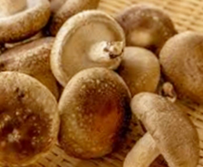 椎茸