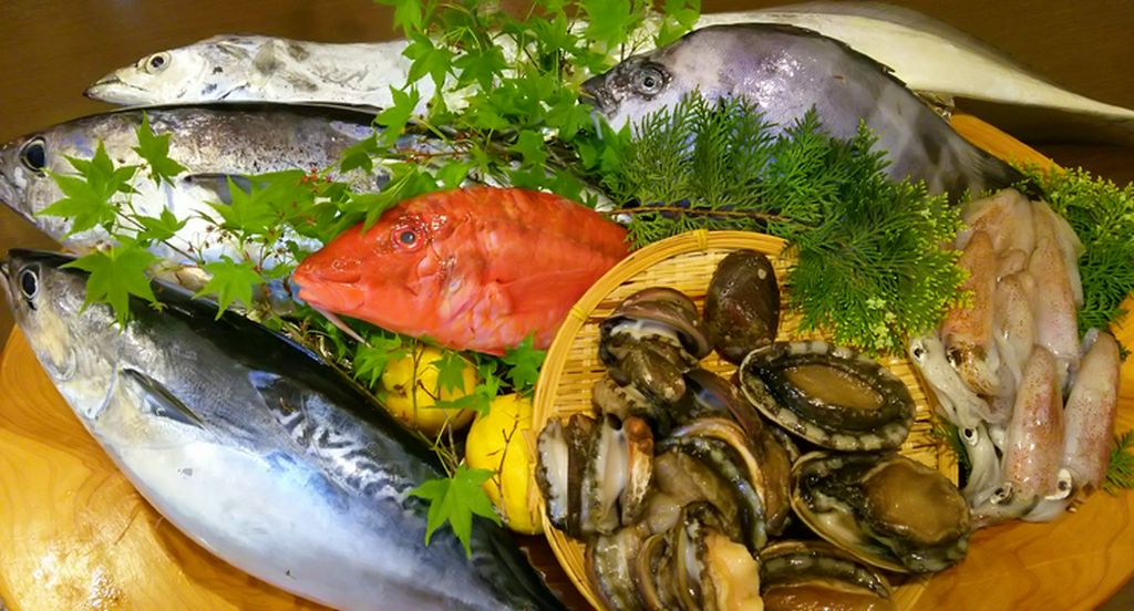 高知沖にて獲れた旬の魚介をあますとこなくご堪能!！！