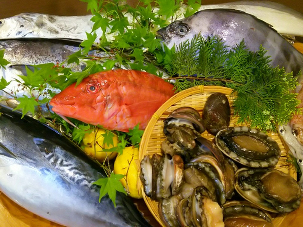 高知沖にて獲れた旬の魚介をあますとこなくご堪能!！！