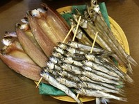 ・にろぎ:500円
・うるめ:600円
・ほたれ:600円
・さば子ゆず:600円
・えいひれ:800円