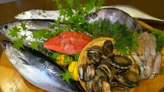 土佐湾 海の幸