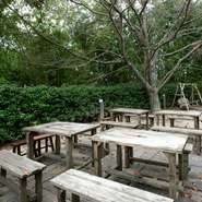 テラス席には桜の木が植えられ、春には満開の桜が訪れる人を迎え入れてくれます。桜の下での食事や休息は、まさに贅沢なひととき。テラス席は、自然と調和した開放的空間です。