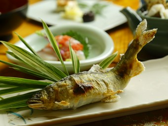刺・焼・揚…多彩な料理で「旬」を味わう幸せ