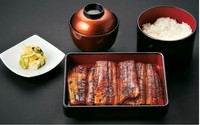 産地直送の厳選うなぎを、仕入れたその日のうちに捌き、ふっくら柔らかく焼き上げたうなぎ。お店自慢のうなぎをシンプルに食す、王道のスタイルです。
