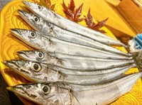 秋といえば秋刀魚！！秋の味覚の象徴を贅沢に一本丸々塩焼きor一本揚げでどうぞ！！