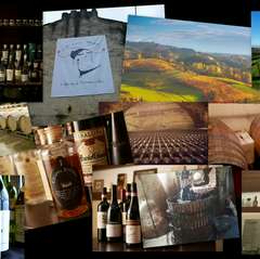 北イタリアの土着品種のワイン