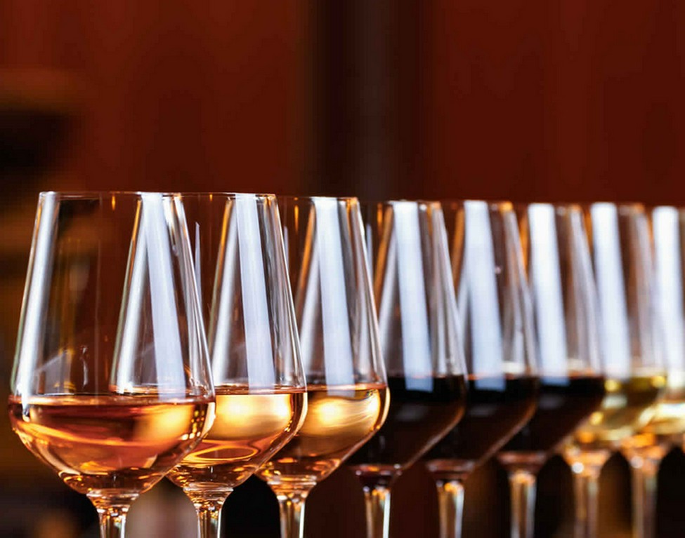 ワインビギナーから愛好家まで愉しめるラインナップ