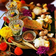 Nose Japanese Cuisine Shin