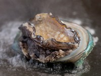 食通たちを魅了し続ける厳選素材を提供『鮑の鉄板焼』