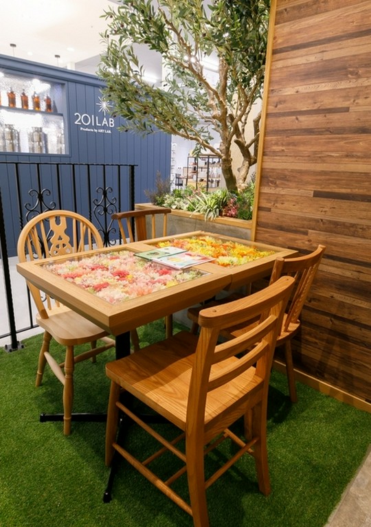 芝生の雰囲気が癒されます。