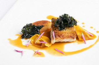 自家製手打ちパスタと共に楽しむ、重層的な美味に感動『魚料理』