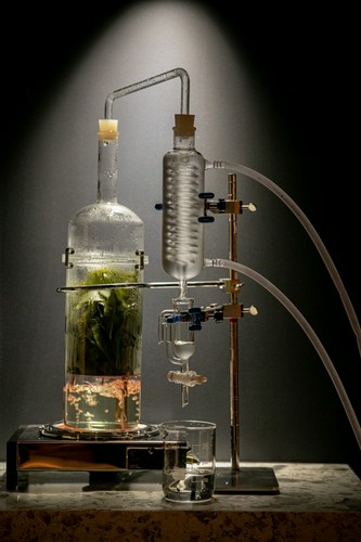 開放的な空間で、優しい香りに包まれる