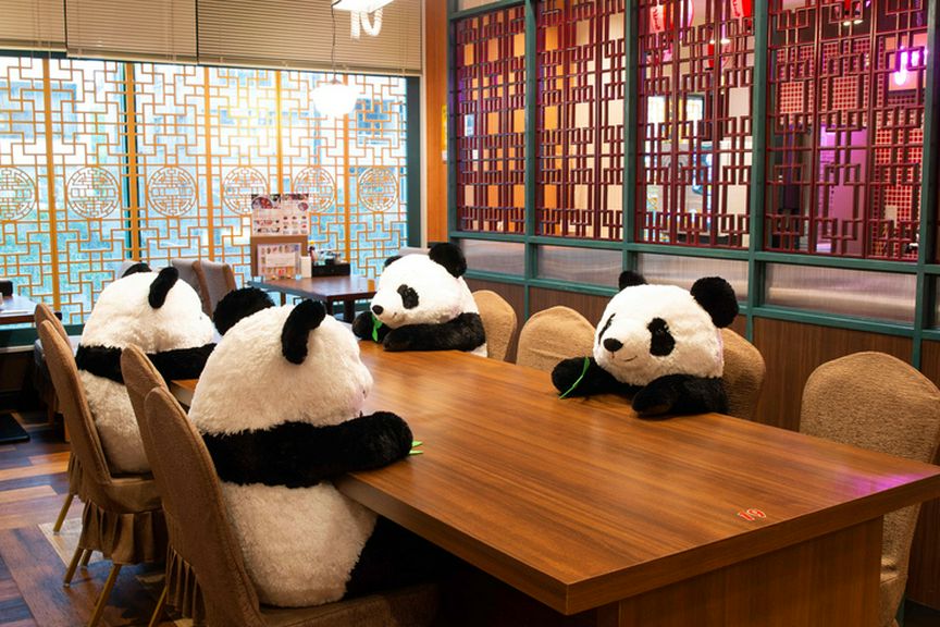 広々空間&楽しい料理で賑やかな女子会を演出