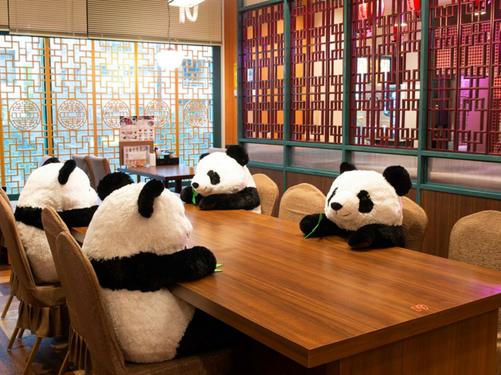 広々空間＆楽しい料理で賑やかな女子会を演出