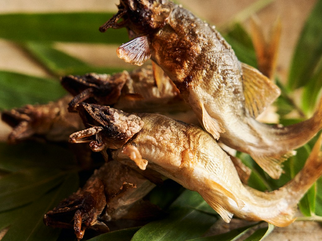 鮎は“匠天龍鮎”。南アルプスの伏流水で育つ天然に近い鮎だ