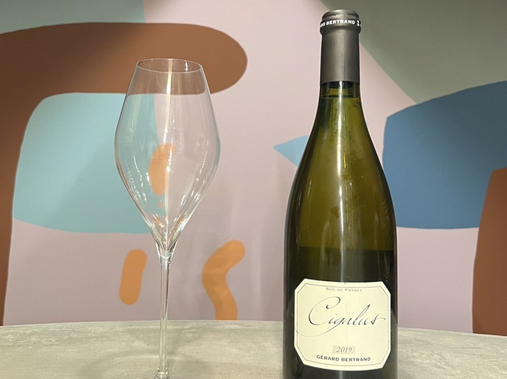 泡・白・赤はもちろん、珍しいオレンジワインはいかが