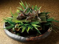 食材を尊重し、その食材に合わせた調理法を選択『焼物』