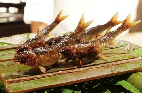 飛騨宮川の天然鮎
