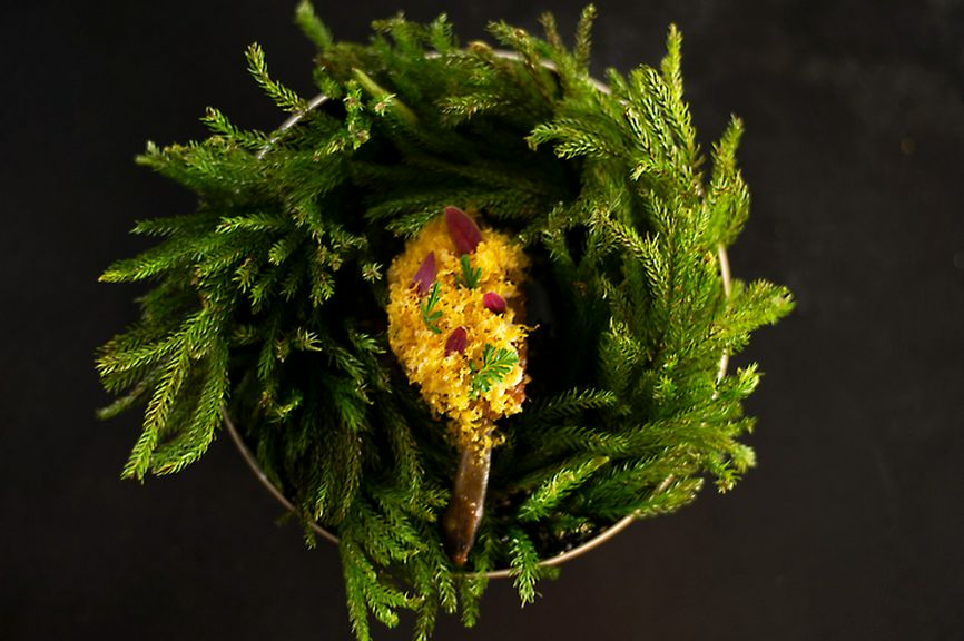 名古屋コーチン 卵黄