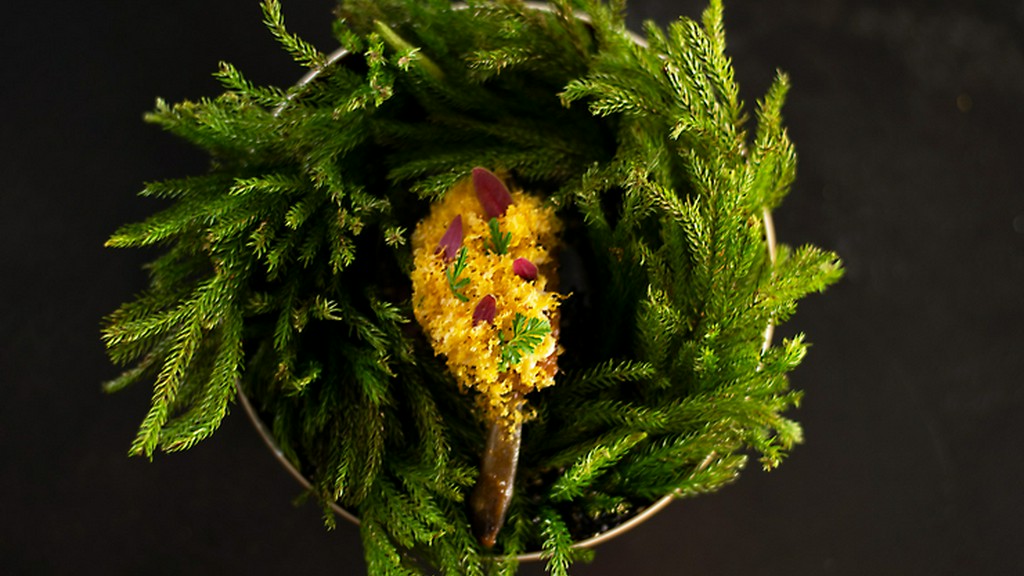 名古屋コーチン　卵黄