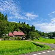 まるでジブリの世界に入ったかの様な生い茂る草木と揺れる竹林を一望する事ができます。どこか懐かしい自然に立ち返りずっと求めていた休息をとれる場所です。
