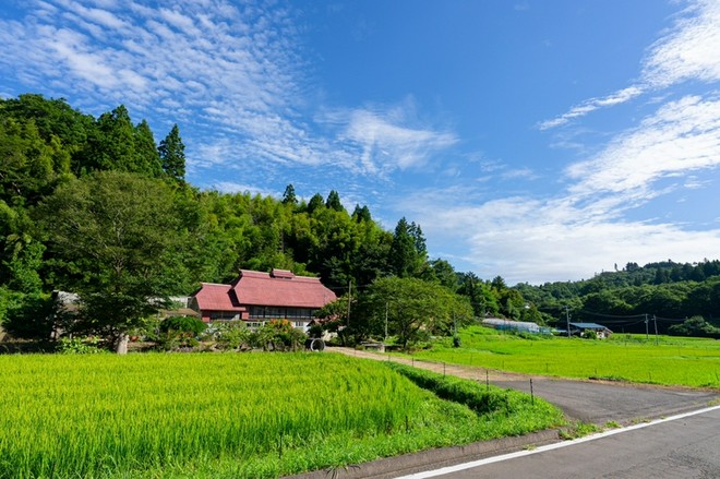 オシャレな雰囲気